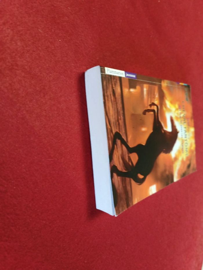 Cheval fantôme Tome 3 " Une jument dans les flammes " Terri Farley - photo numéro 2