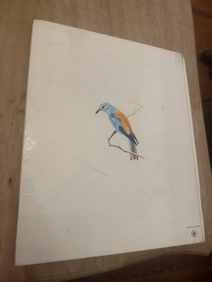 Pierre Probst Jean Dorst - Encyclopédie en couleurs Le monde des oiseaux Hachette - photo numéro 3
