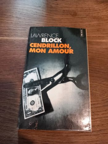 Livre Cendrillon, mon amour