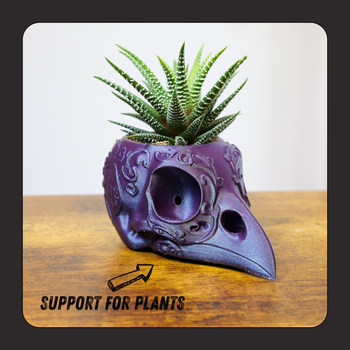 Pots de Fleurs / Jardinières Masque de la Peste 