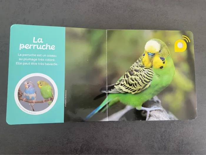 Livre sonore « Les animaux de compagnie » Auzou - photo numéro 8