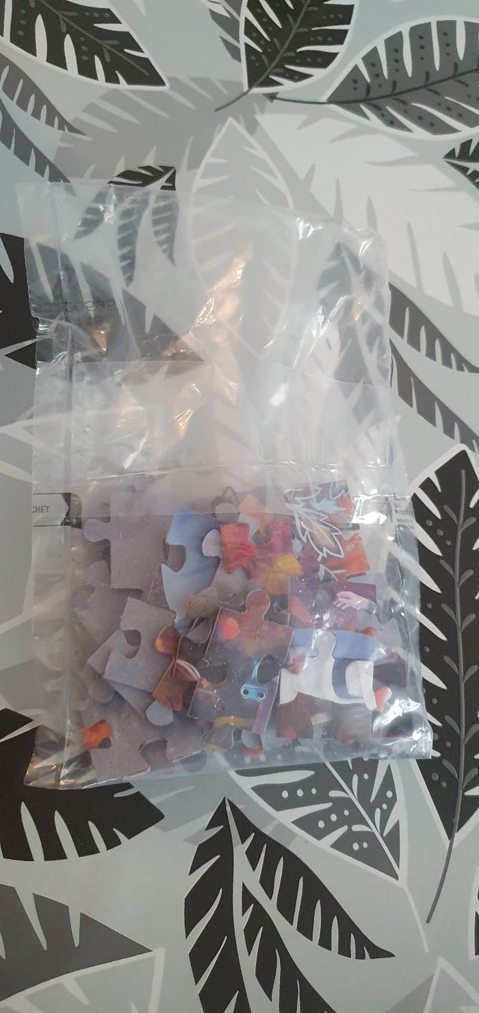 Puzzle - photo numéro 3