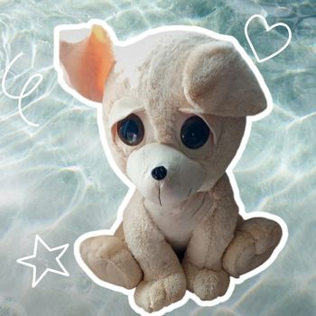 Magnifique grande peluche chien 🐶 _ à nettoyer