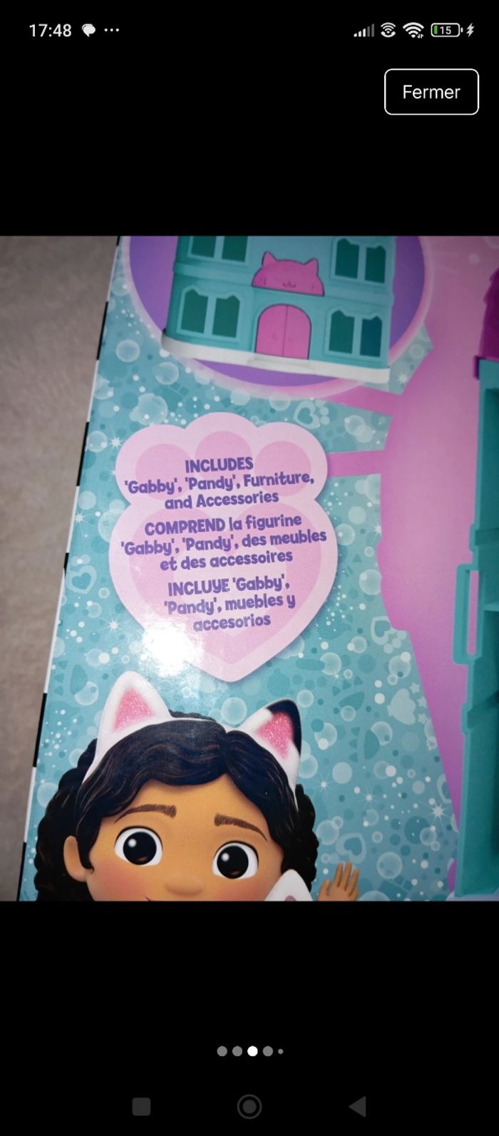 Gabby's chat maison - photo numéro 4