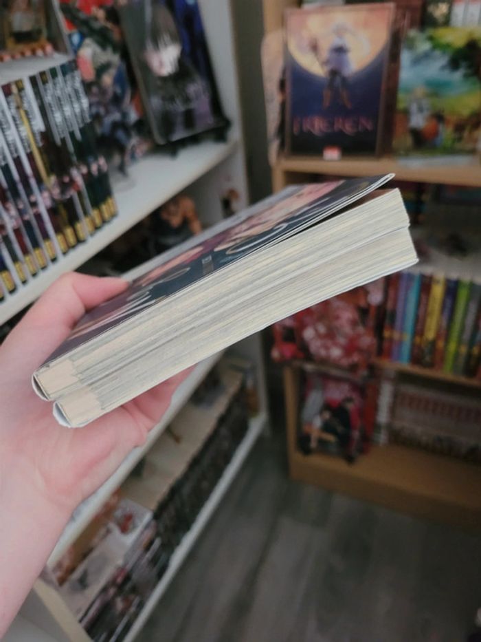 Manga my elder sister tomes 1 et 2 - photo numéro 4