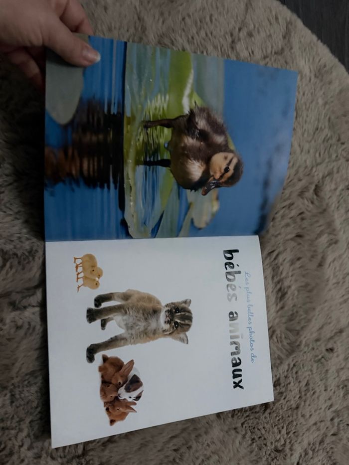 Livre les plus belle photos des bébés animaux - photo numéro 7