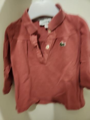 Polo bébé fille 9/12 mois