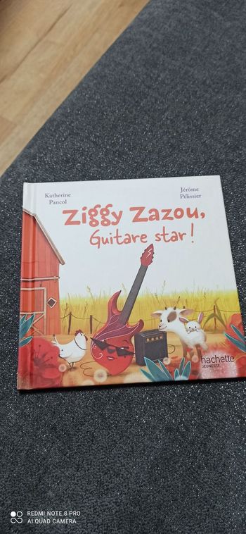 Livre Ziggy zazou guitare star