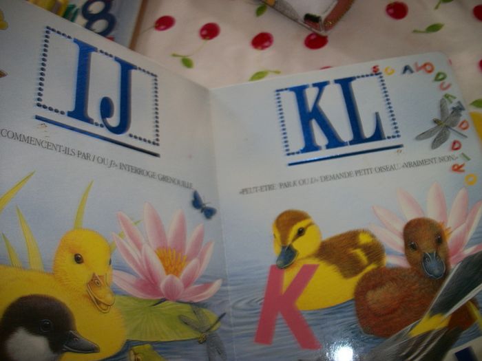 livre cartonné ABC - photo numéro 2