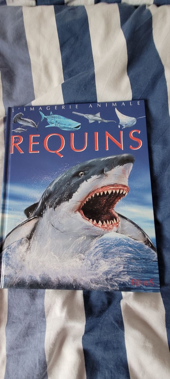 Requins