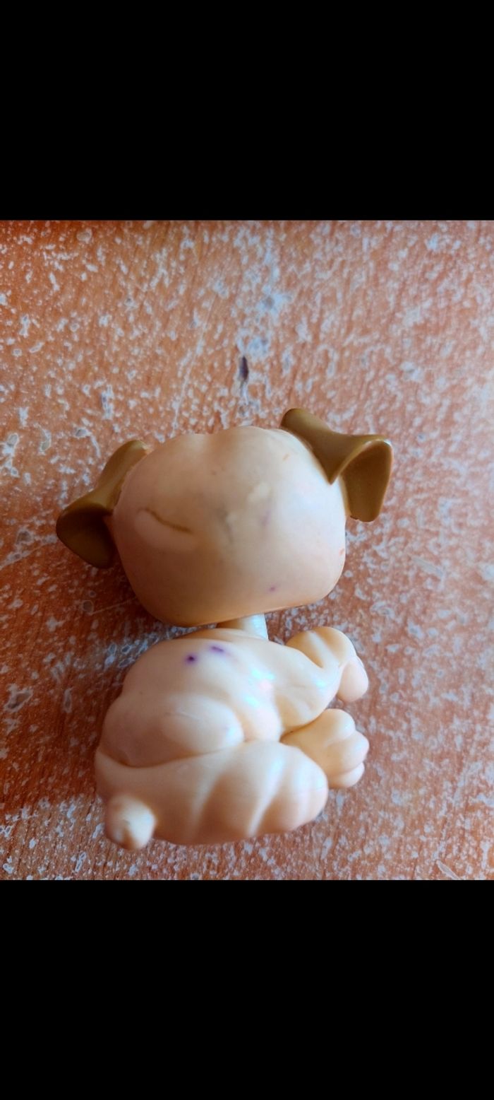 Pet shop bulldog - photo numéro 2