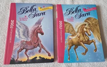 Livres belle Sara la bibliothèque rose