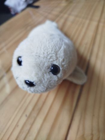 Peluche phoque 
