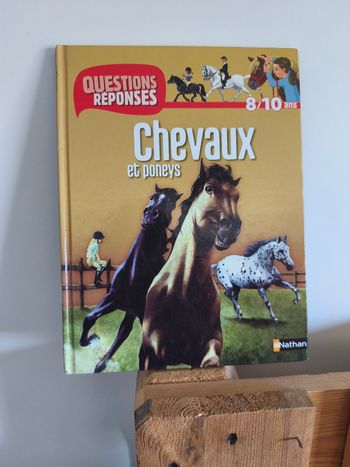 Livre Chevaux et poneys questions réponses