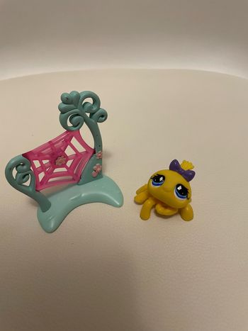 Petshop araignée avec sa toile