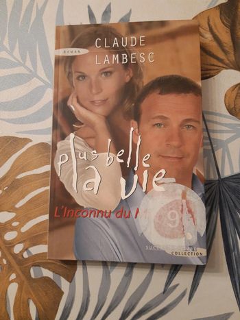 L inconnu du mistral