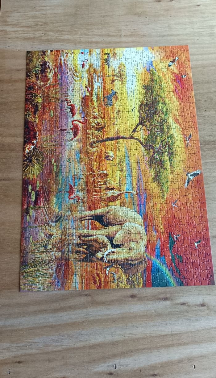 Puzzle Savane 🦁🦓 - photo numéro 2