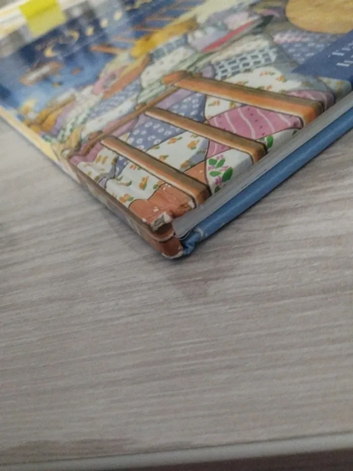 Tous les soirs une histoire d'oursons - photo numéro 5