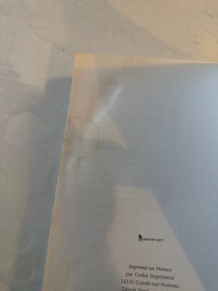 Livre ange - 3 - perfidia - Anne Robillard - photo numéro 4