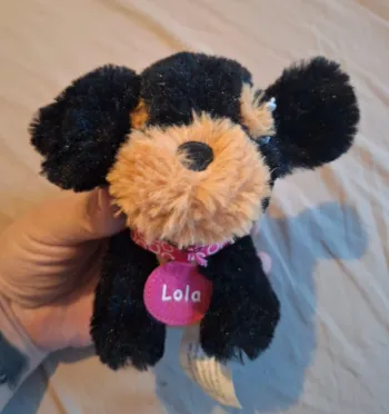 🎀 petit chien lola 🎀