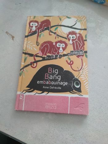 Album Big bang embabouinage