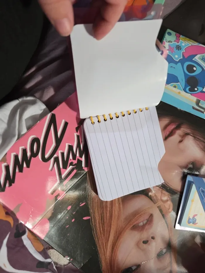 Petit Carnet - photo numéro 5