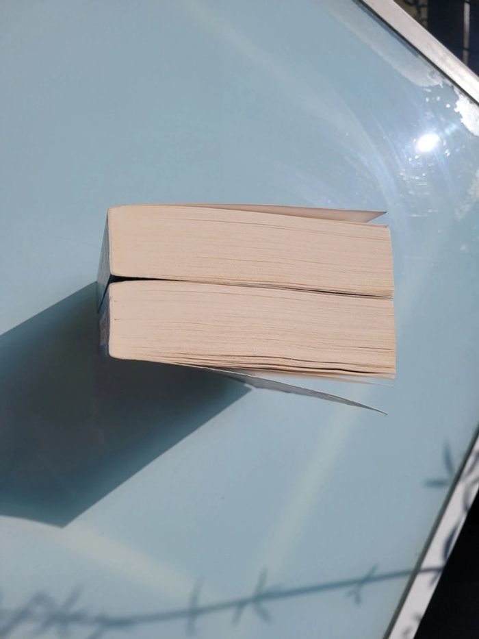 2 romans enfants grand format Le Club de l'ours Polaire tomes 1 et 2 (48) - photo numéro 7