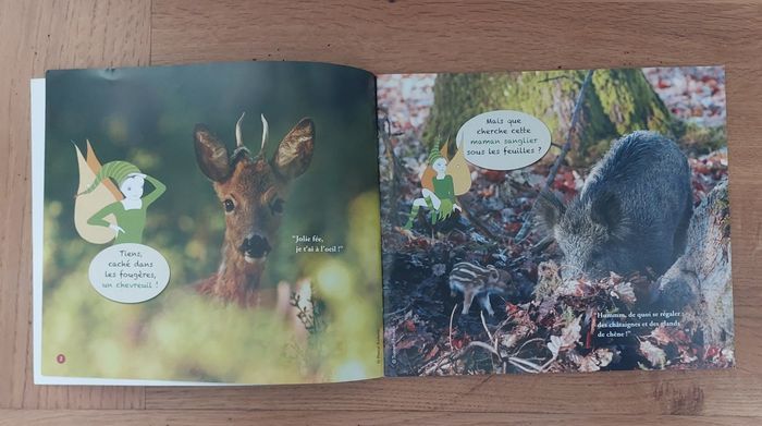 En forêt avec la fée Danaé - lire c'est partir - photo numéro 3