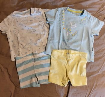 Lot 2 t shirt et short 9 mois