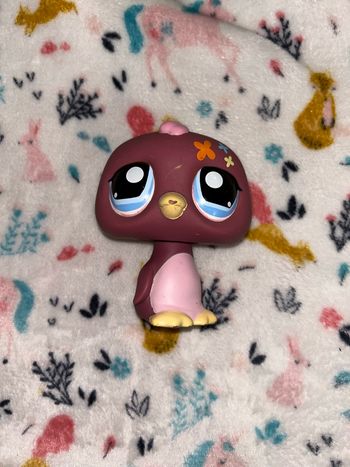 Pingouin Little Petshop - Gros format 