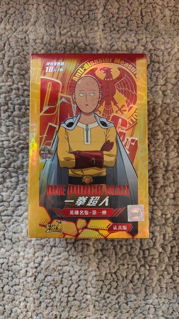 Display Kayou one punch man 