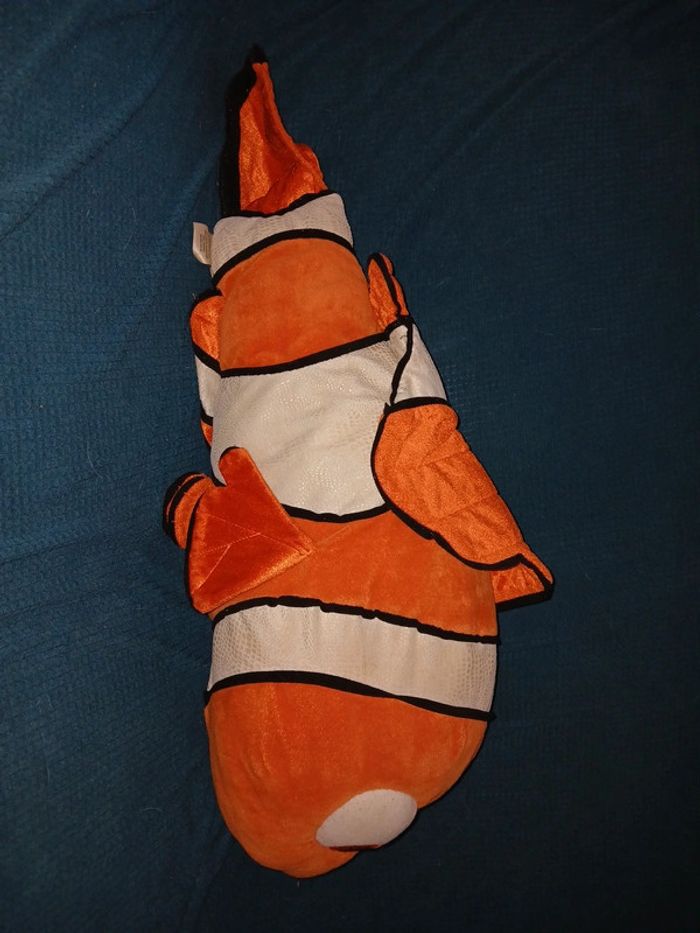 Poisson clown nemo - photo numéro 5