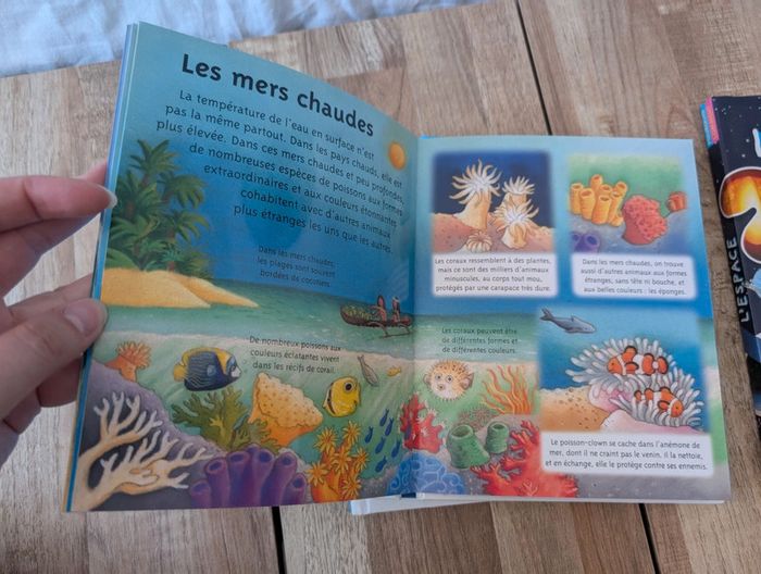 Lot livres : La petite imagerie - photo numéro 10