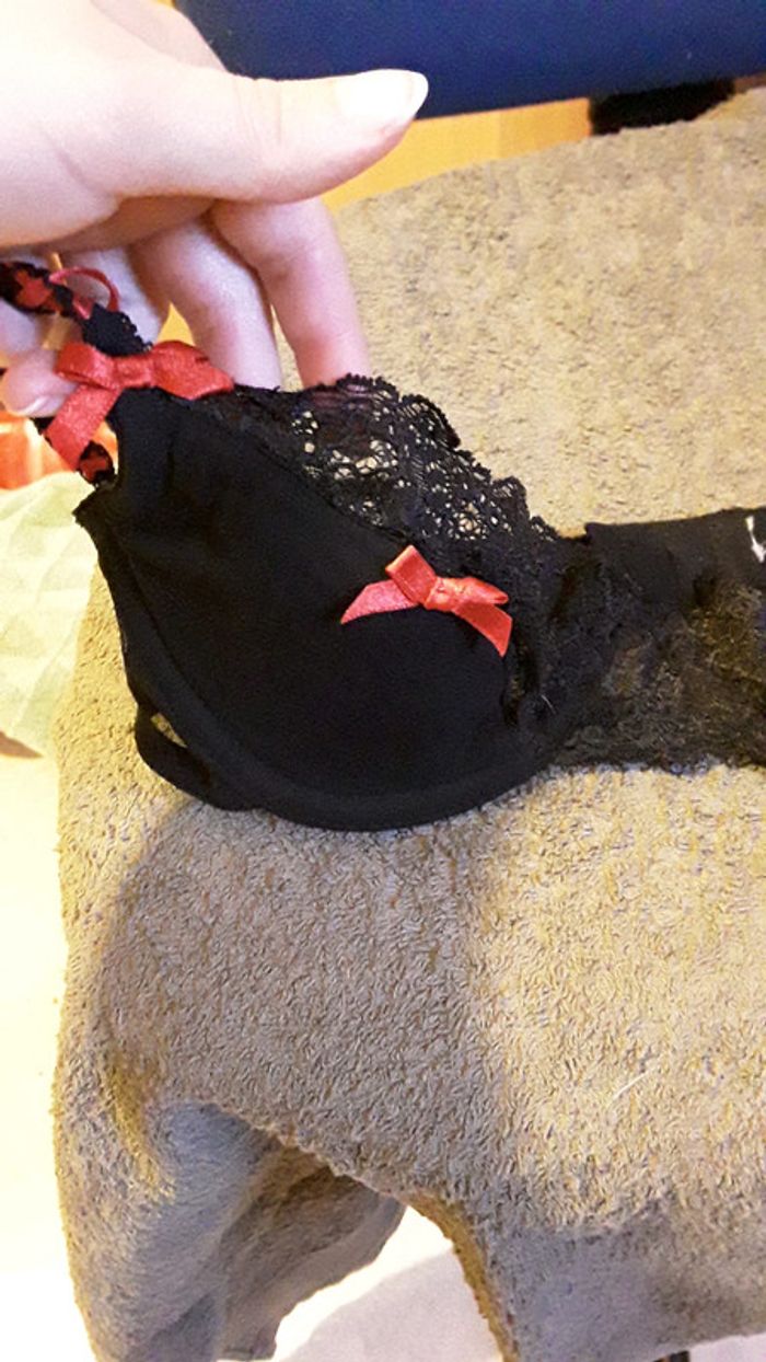 Soutien-gorge - photo numéro 2
