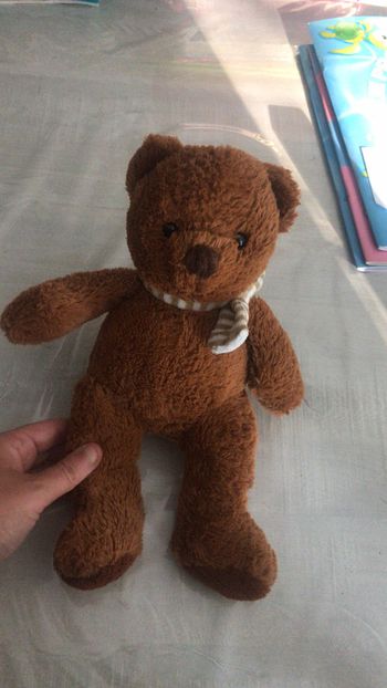 Ourson en peluche