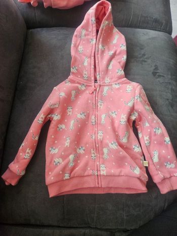 Veste capuche