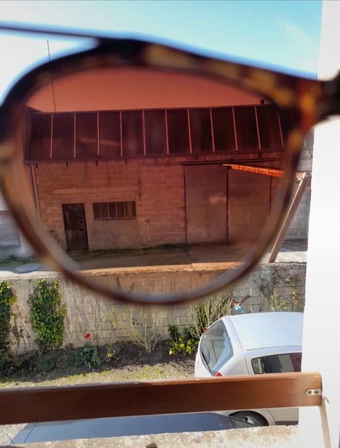 Lunettes de soleil 🤎 - photo numéro 3