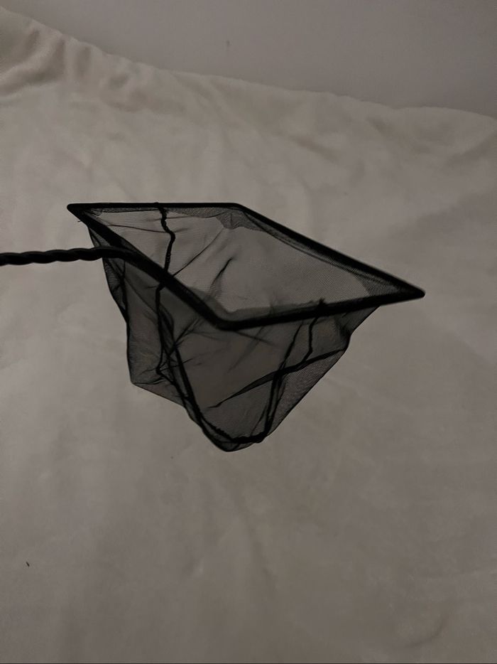 Épuisette poissons - photo numéro 3