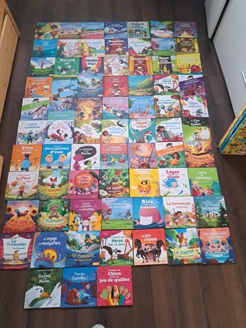 Gros lot livre Mac donald