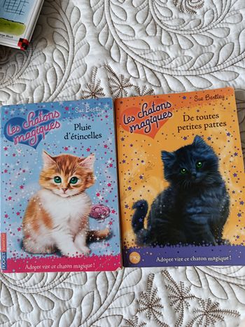 Les chatons magiques