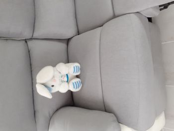 peluche