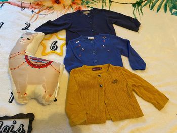 Lot de 3 gilets bébé fille 6 mois