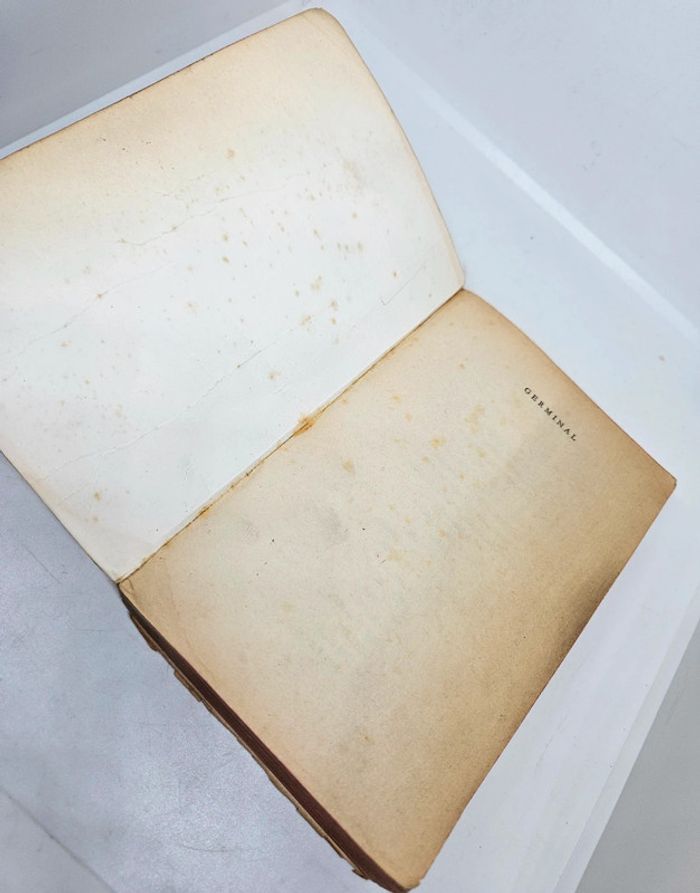 "Germinal", de Zola.
512 pages.
Le livre de poche. 
ISBN : 2.253.00422.7 - photo numéro 4