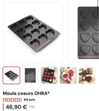 Moule cœurs Guy demarle 