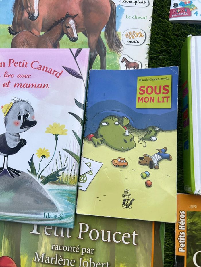 Gros lot de livres divers ( pas de vinted go ) - photo numéro 10