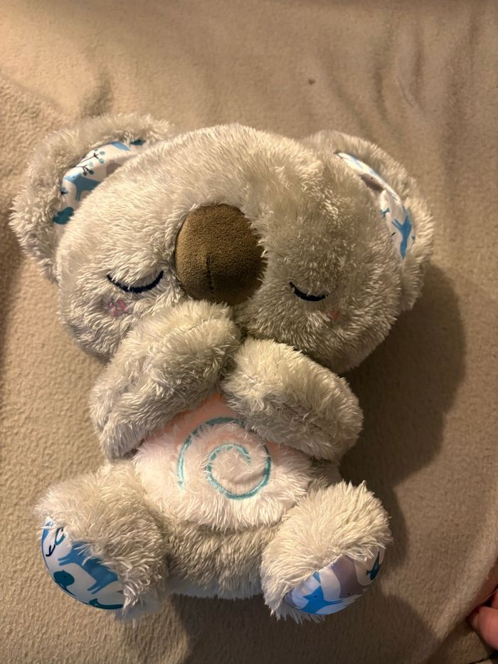 Koala Cali dodo - photo numéro 3