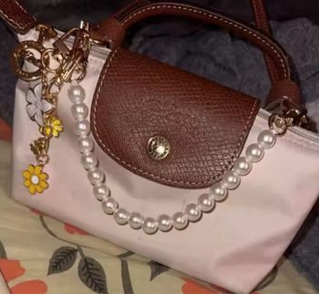 Organisateur de sac Longchamp petit