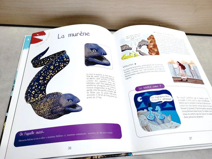 📚 Livre : Les bêtes qui crachent, qui collent, qui croquent à la mer - photo numéro 2