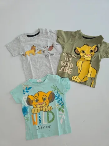 Lot de 3 tee shirt roi lion