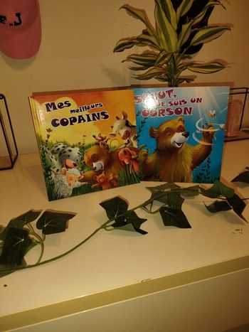 Livre salut les copains lot 2 livres